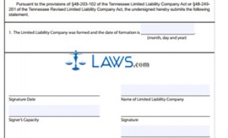 Form SS-4232 Certificate of Formation Form SS-4232 Certificate of Formation